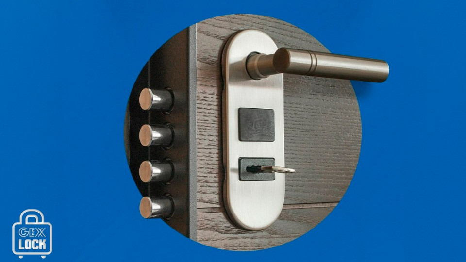 Agosto: El Mes de las Vacaciones por Excelencia 